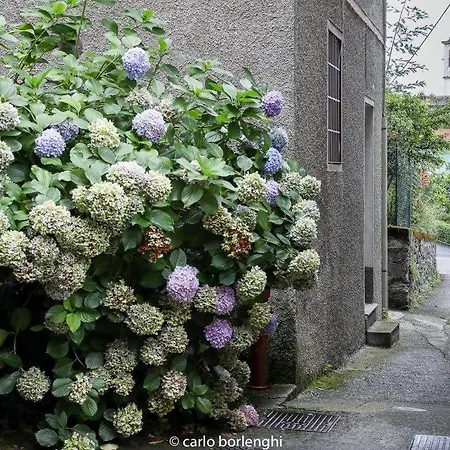 Apartament Casa Elena *