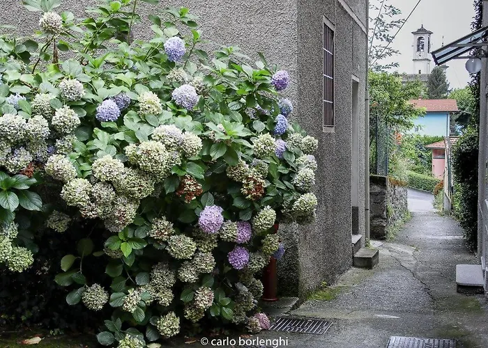 Apartament Casa Elena *